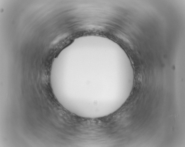 X0000088840869200706281819