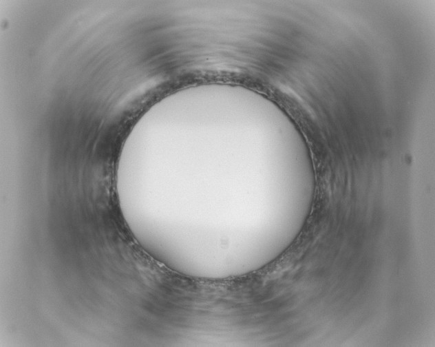 X0000088840870200706281819