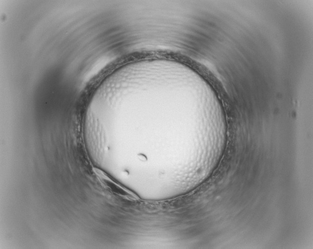 X0000088840871200706281819