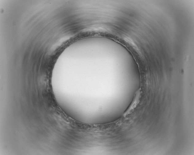 X0000088840872200706281819