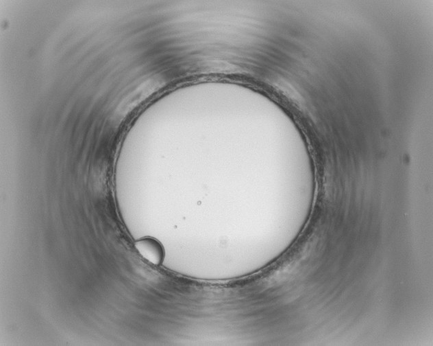 X0000088840873200706281819