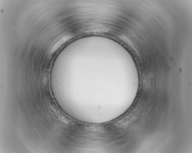 X0000088840874200706281819