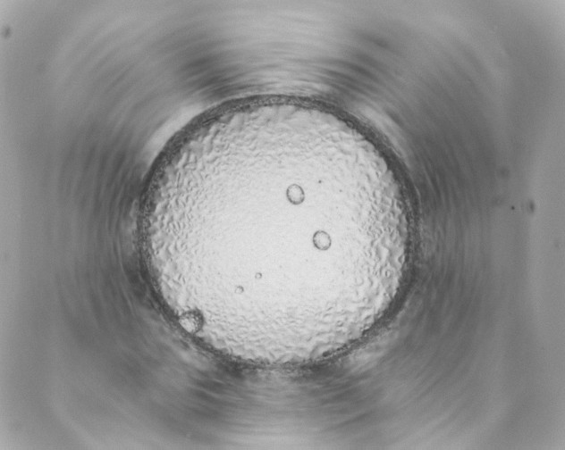 X0000088840875200706281819