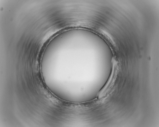 X0000088840876200706281819