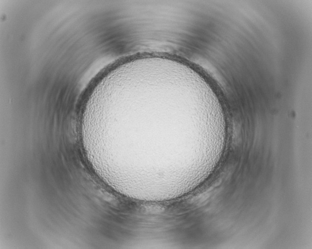 X0000088840878200706281819