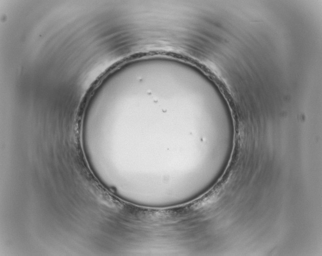 X0000088840879200706281819