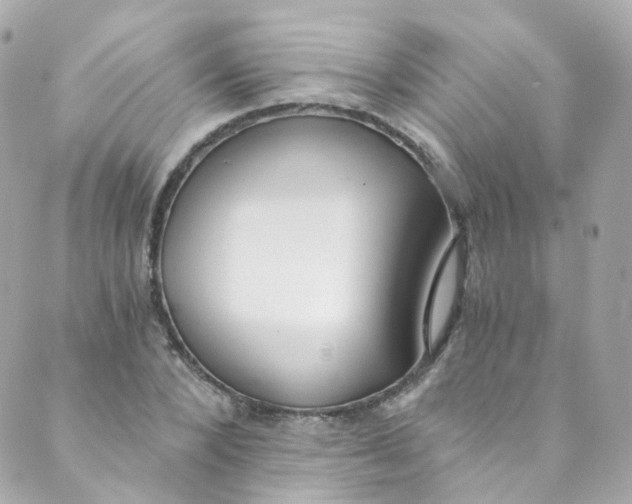 X0000088840880200706281819