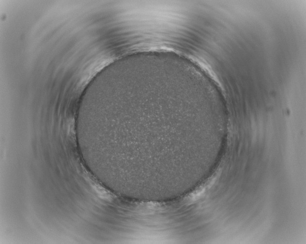 X0000088840881200706281819