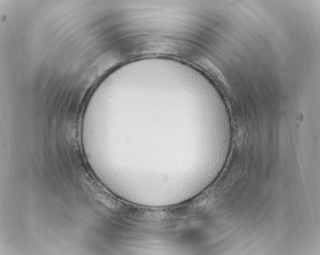 X0000088840882200706281819