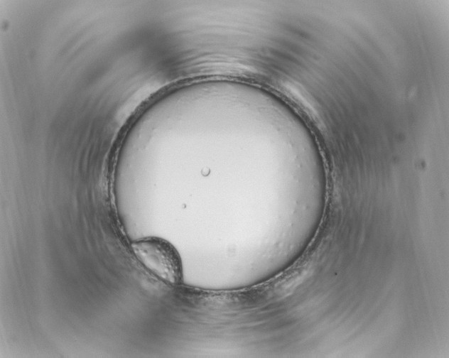 X0000088840883200706281819