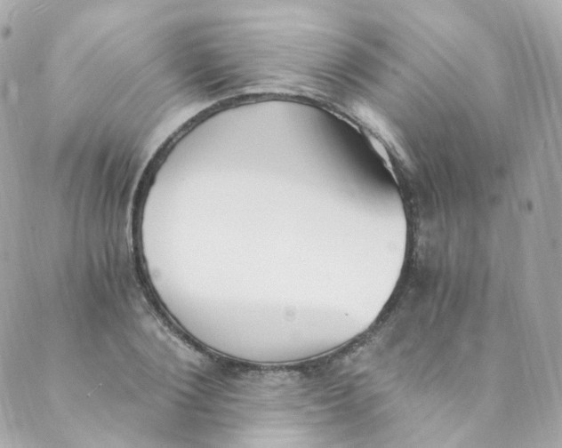 X0000088840884200706281819