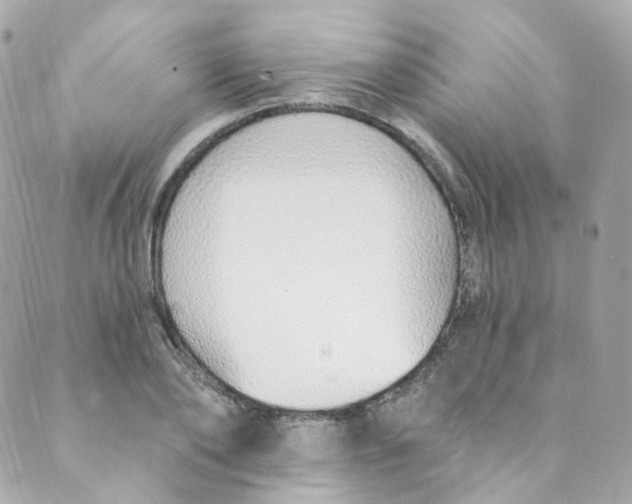 X0000088840886200706281819