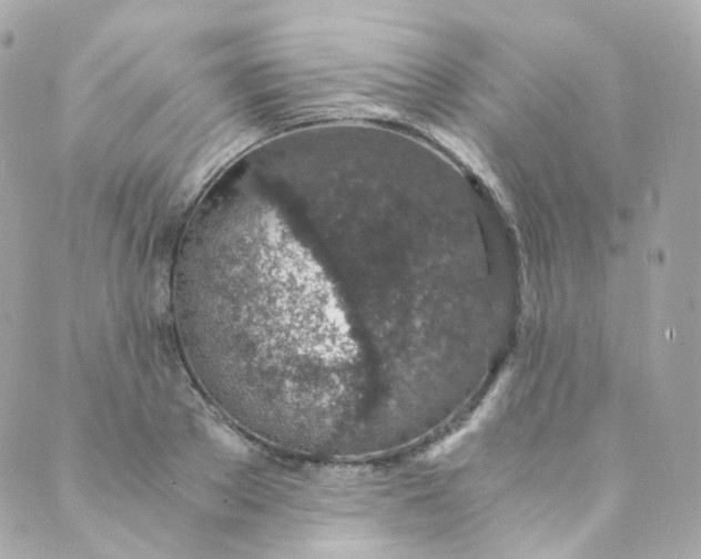 X0000088840889200706281818