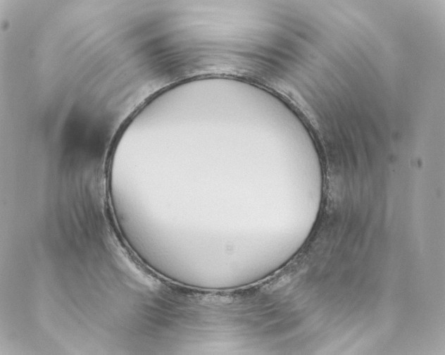 X0000088840890200706281818