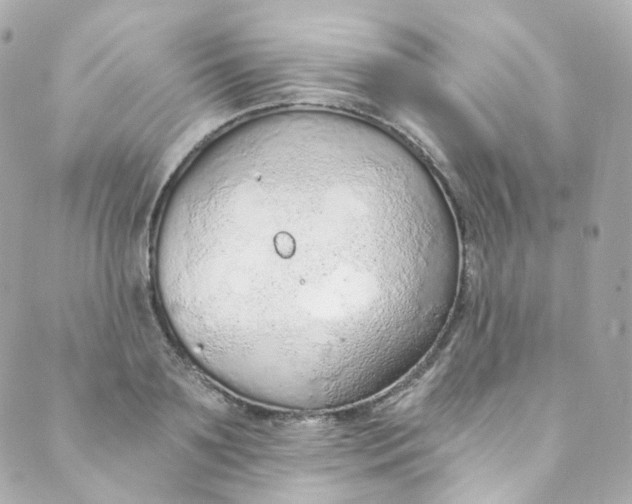 X0000088840891200706281818