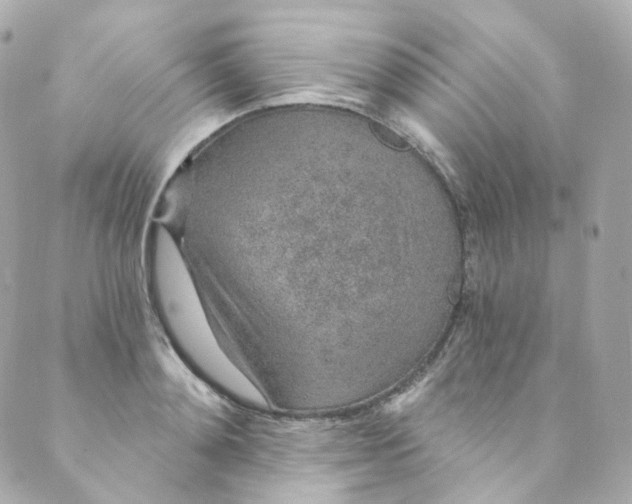 X0000088840892200706281818