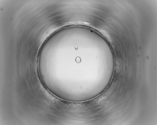 X0000088840895200706281818