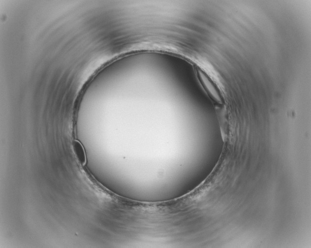 X0000088840896200706281818