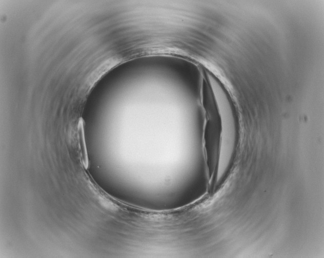 X0000088840897200706281818