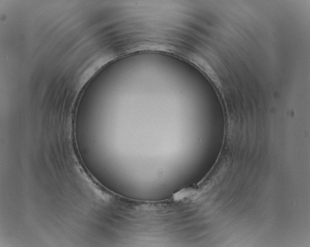 X0000088840898200706281818