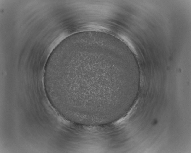 X0000088840899200706281818