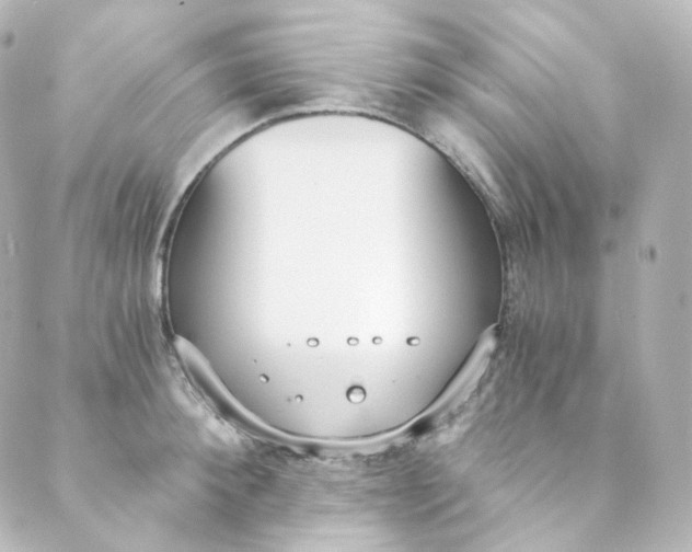 X0000088840900200706281818