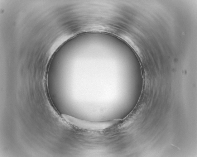 X0000088840901200706281818