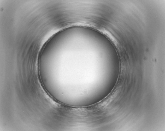 X0000088840902200706281818