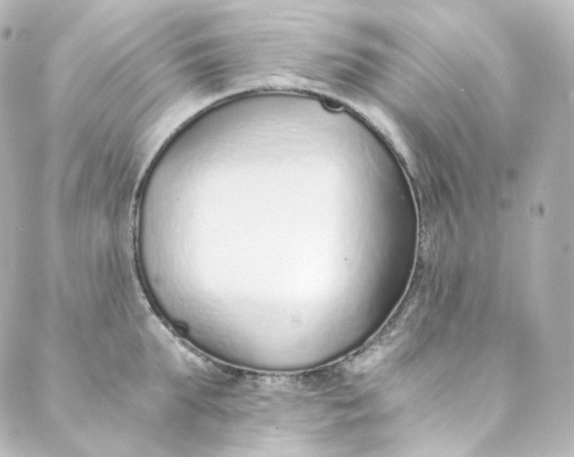 X0000088840903200706281818