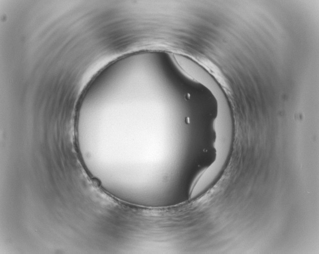 X0000088840904200706281818