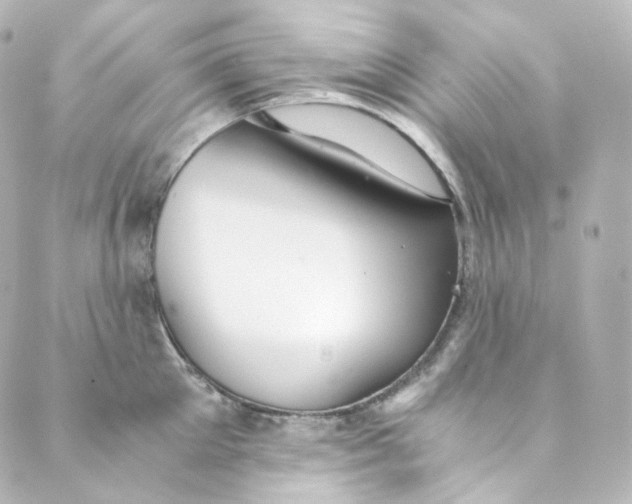 X0000088840905200706281818