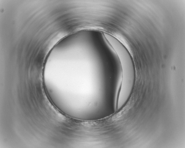 X0000088840906200706281818