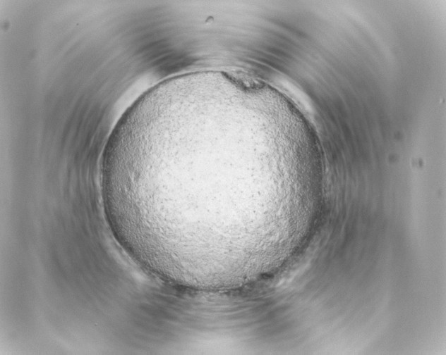 X0000088840907200706281818