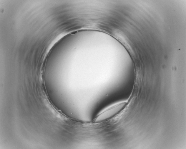 X0000088840908200706281818