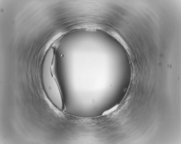 X0000088840909200706281818