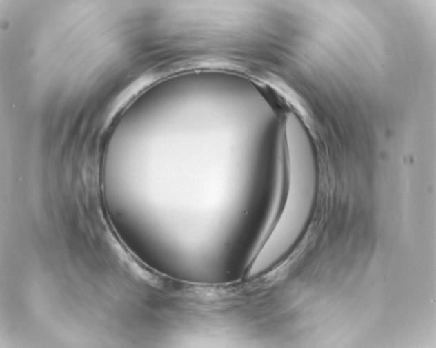 X0000088840910200706281818