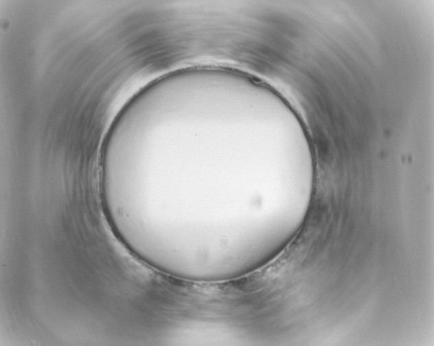 X0000088840911200706281818