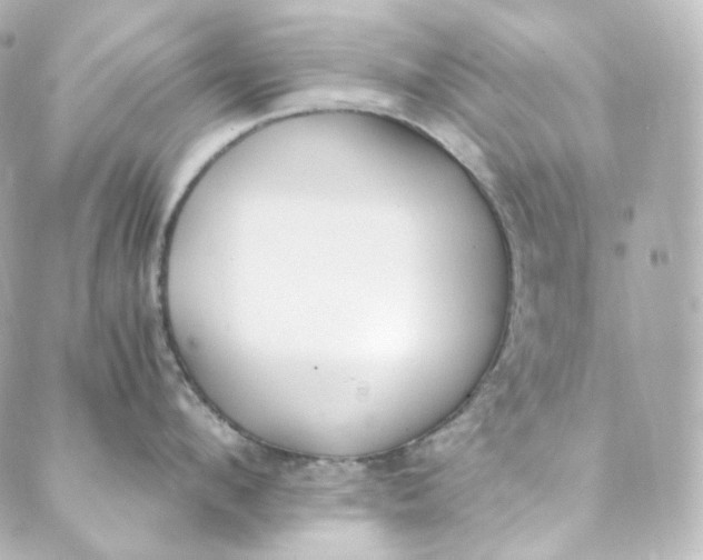 X0000088840912200706281818