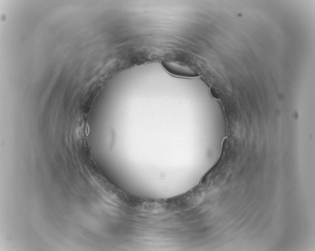 X0000088840914200706281817