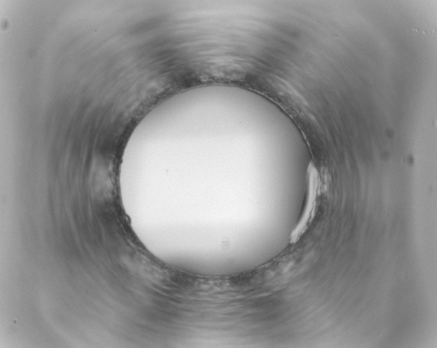 X0000088840915200706281817