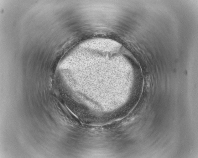 X0000088840916200706281817