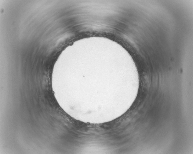 X0000088840918200706281817