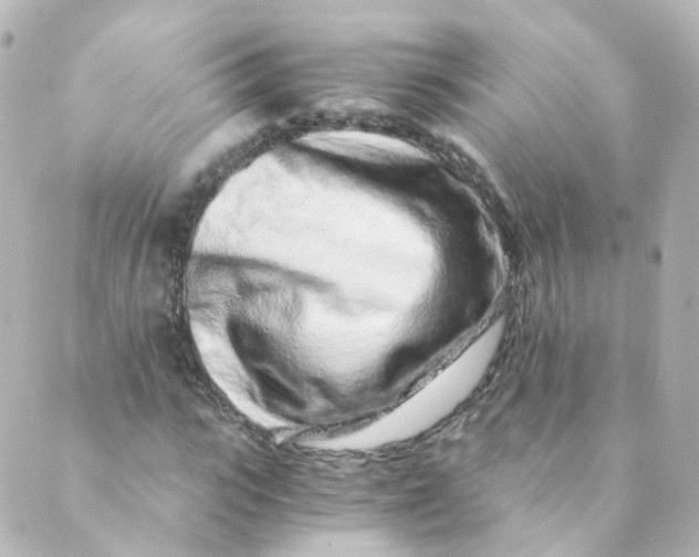 X0000088840919200706281817