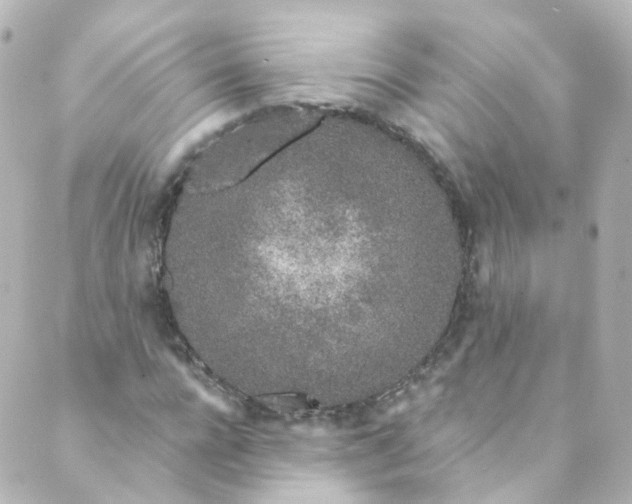 X0000088840920200706281817