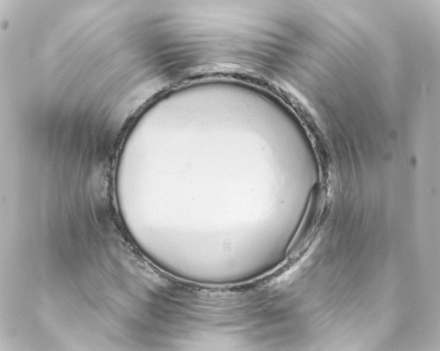 X0000088840921200706281817