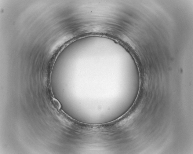 X0000088840922200706281817