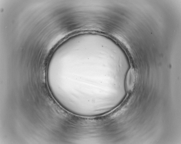 X0000088840925200706281818