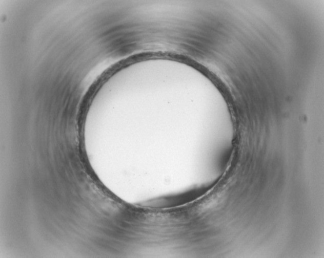 X0000088840927200706281818