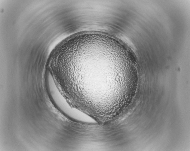 X0000088840928200706281818