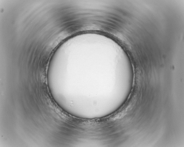 X0000088840929200706281818